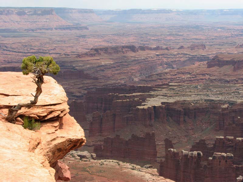 Canyonlands - White Rim Overlook